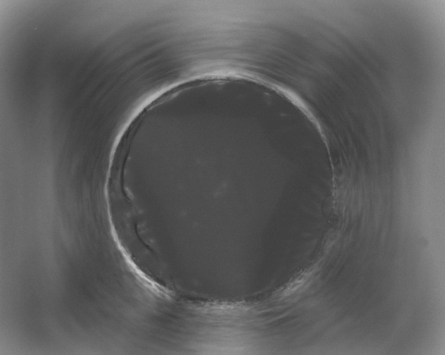 X0000066120951200603311532