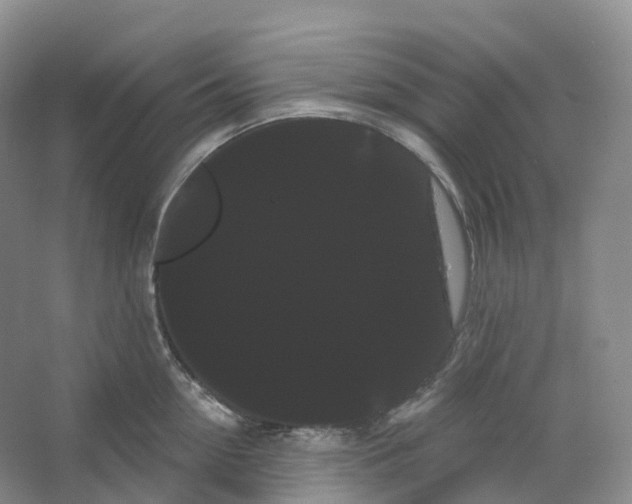 X0000066120954200603311532