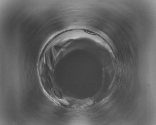 X0000066120958200603311532