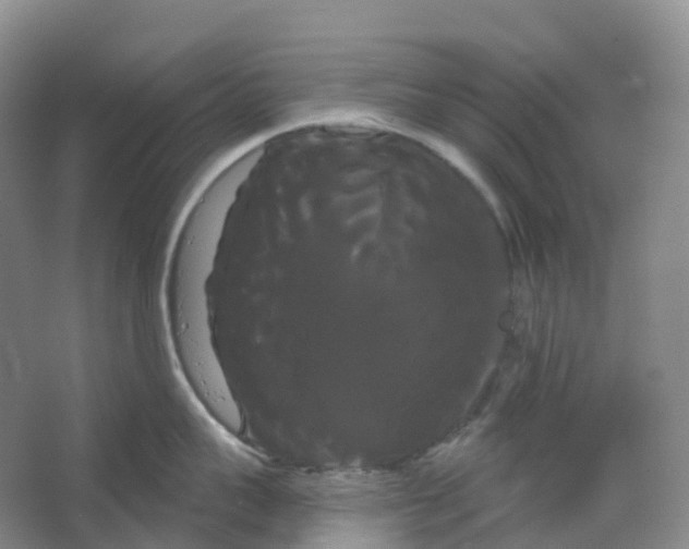 X0000066120959200603311532