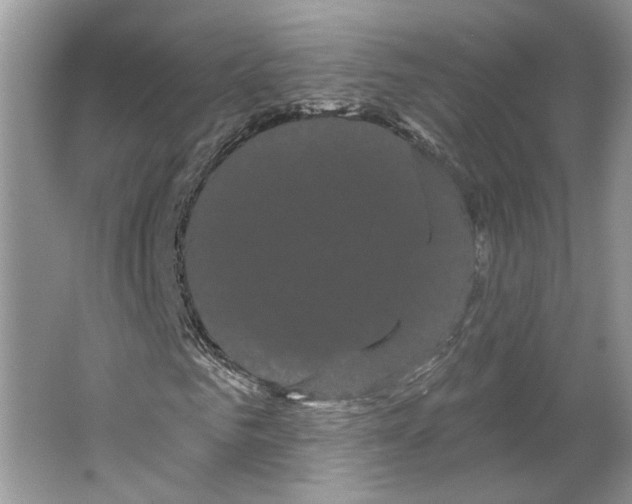 X0000066120961200603311531