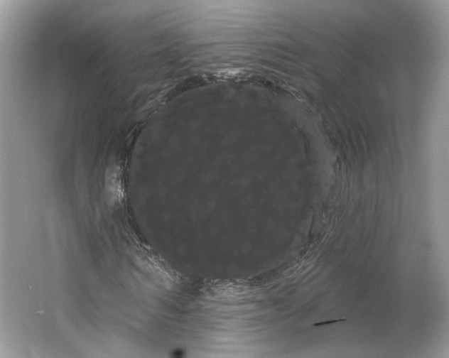 X0000066120962200603311531