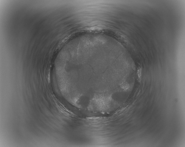 X0000066120963200603311531