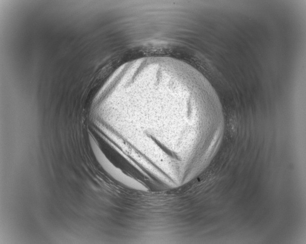 X0000066120964200603311531