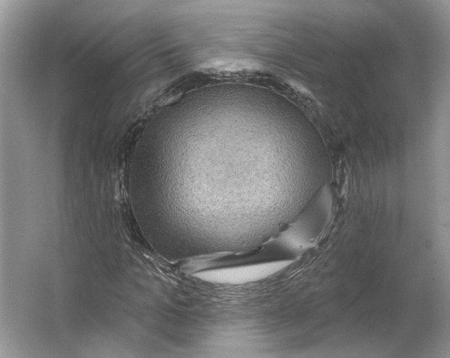 X0000066120965200603311531