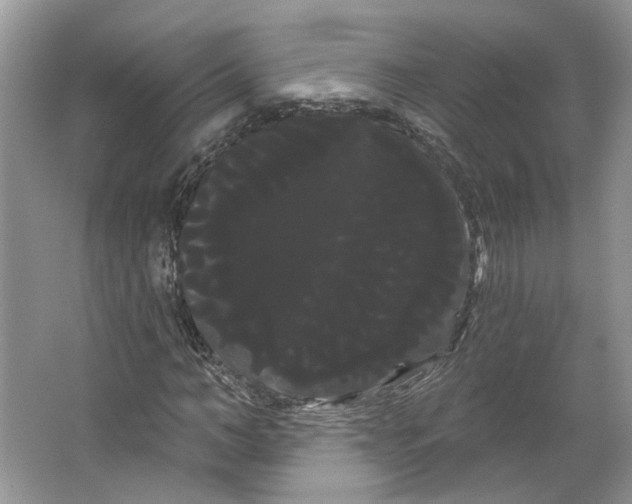 X0000066120966200603311531