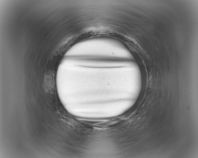 X0000066120967200603311531