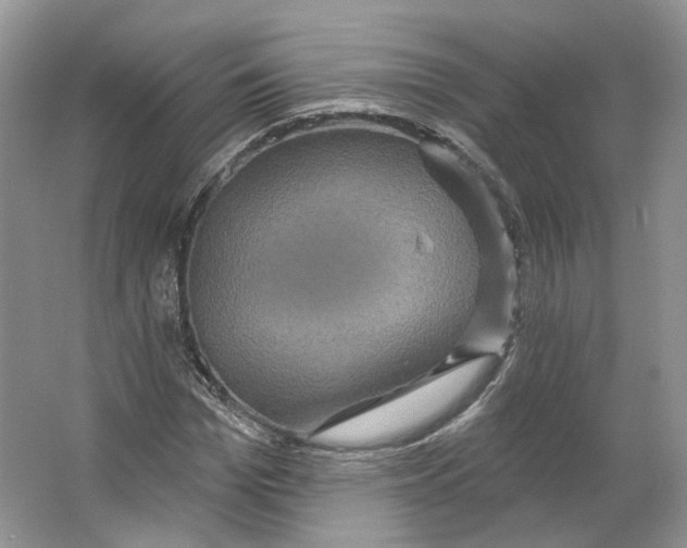 X0000066120969200603311531