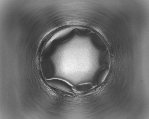 X0000066120971200603311531