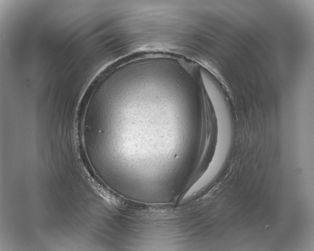 X0000066120976200603311531