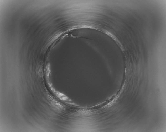 X0000066120977200603311531