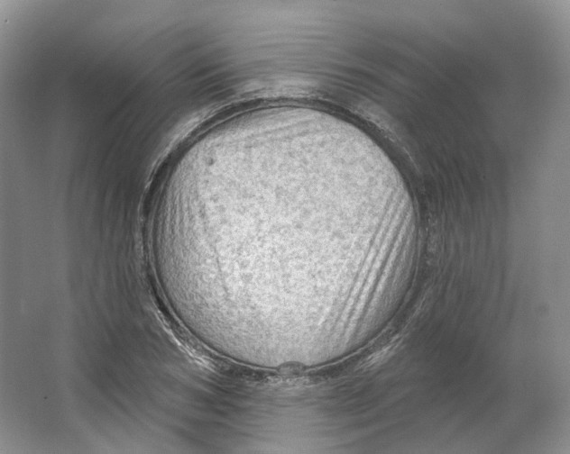 X0000066120978200603311531