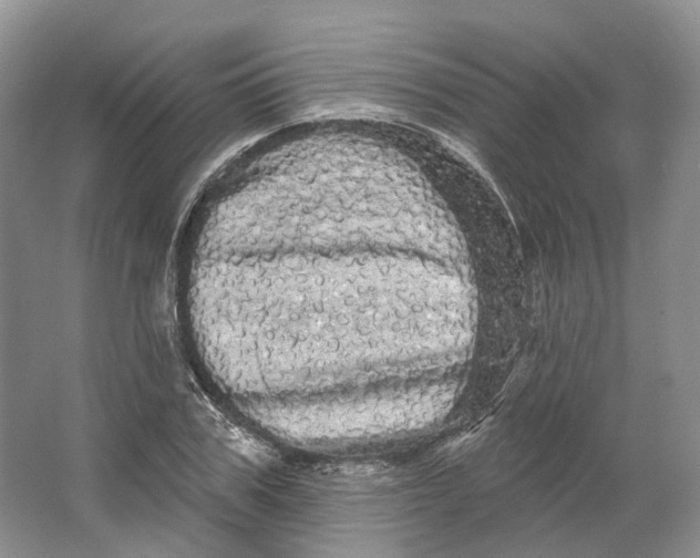 X0000066120979200603311531