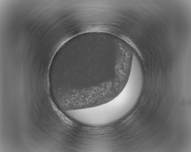 X0000066120980200603311531