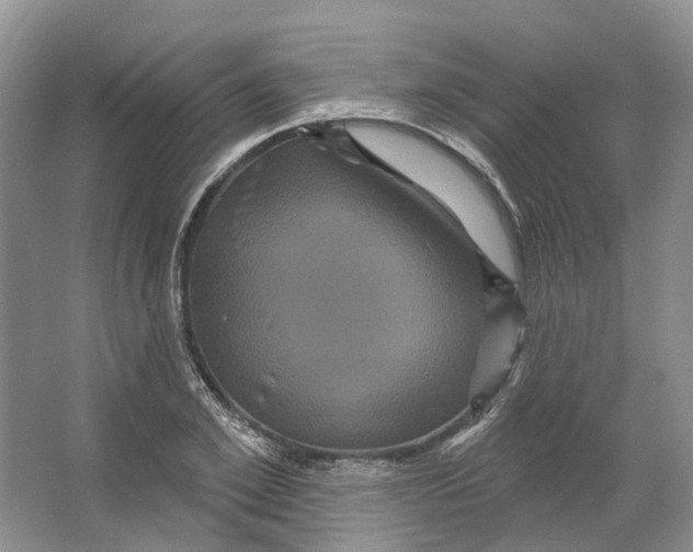 X0000066120981200603311531