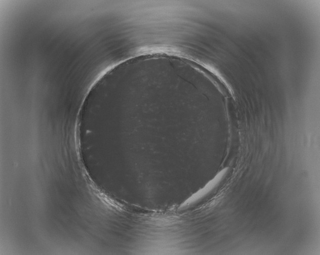 X0000066120983200603311531