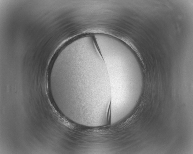 X0000066120984200603311531