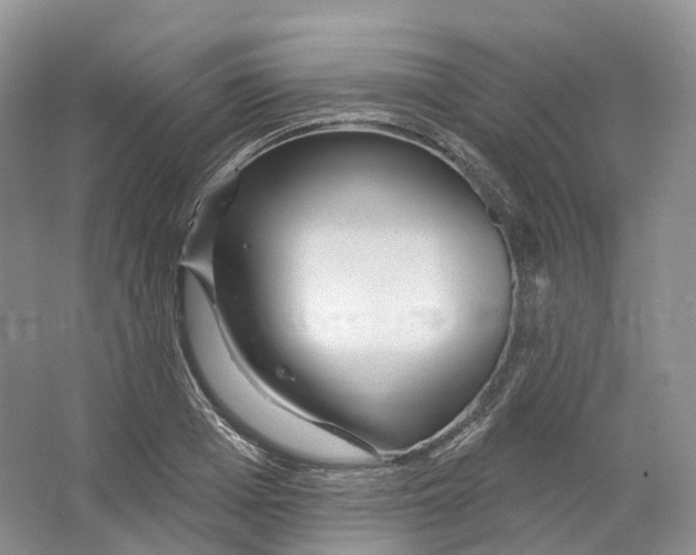 X0000066120985200603311531