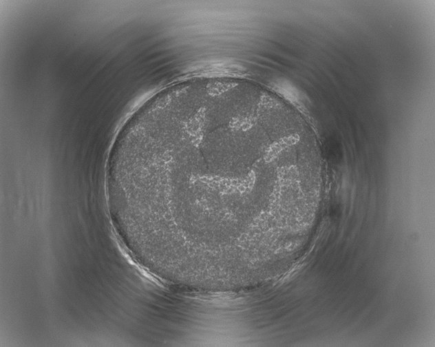 X0000066120986200603311531