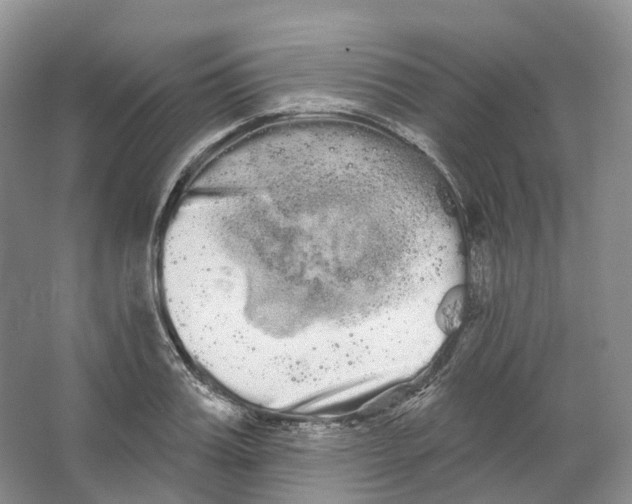 X0000066120987200603311531