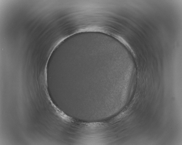 X0000066120988200603311531