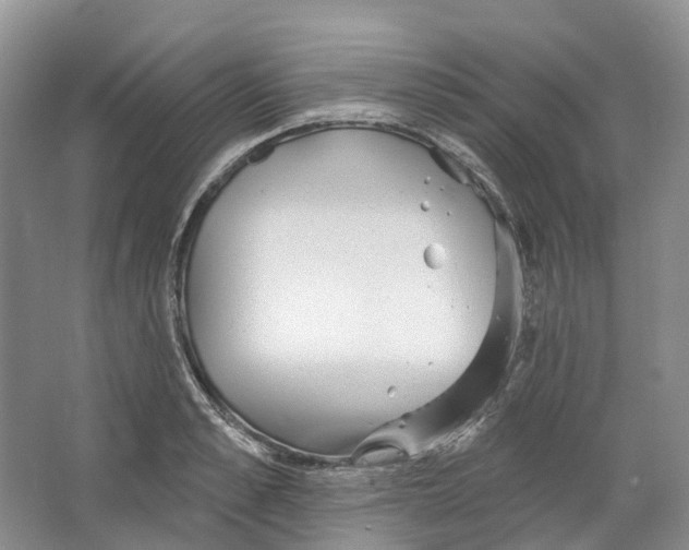 X0000066120989200603311531