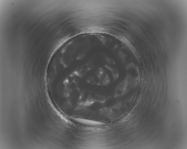 X0000066120990200603311531