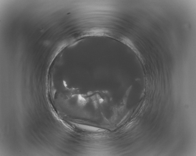 X0000066120994200603311531