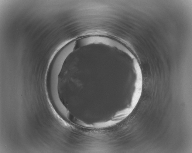 X0000066120995200603311531