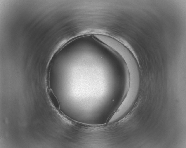 X0000066120997200603311531