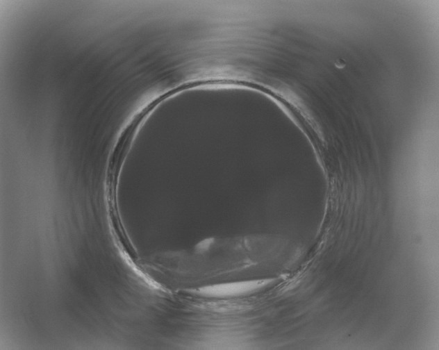 X0000066120998200603311531