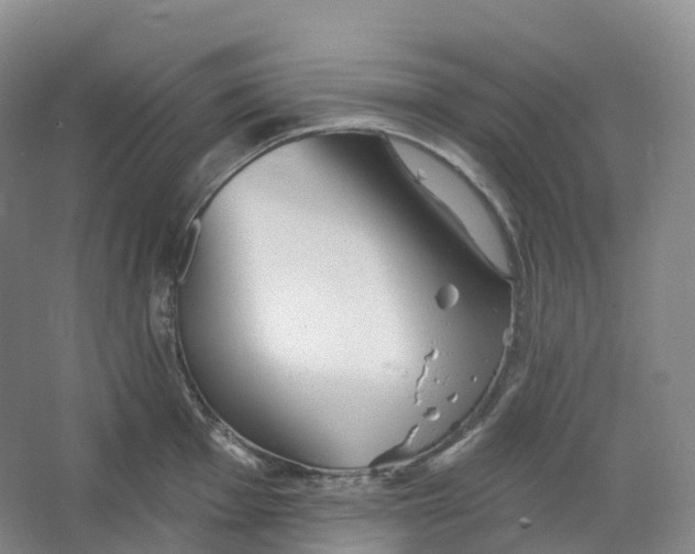 X0000066121001200603311531