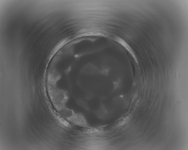 X0000066121002200603311531