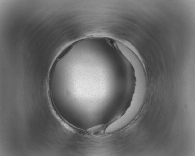 X0000066121005200603311531