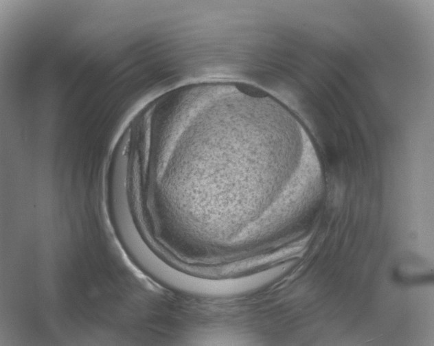 X0000066121006200603311531