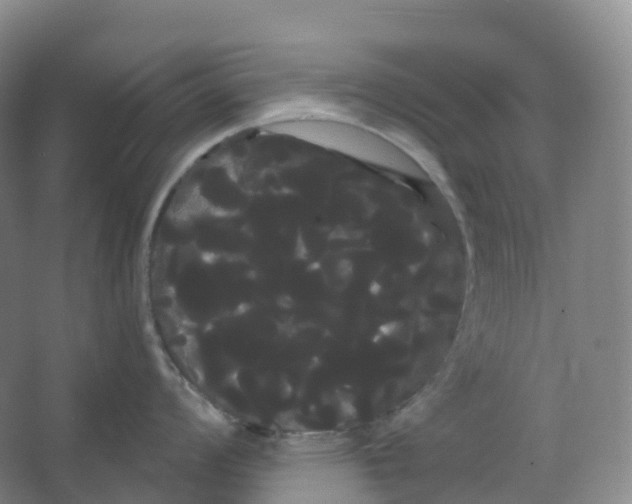 X0000066121008200603311531