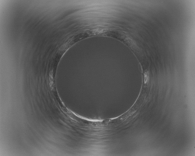 X0000066121011200603311530