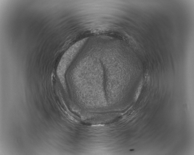 X0000066121012200603311530