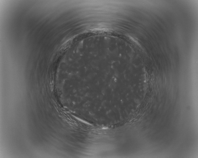 X0000066121015200603311530