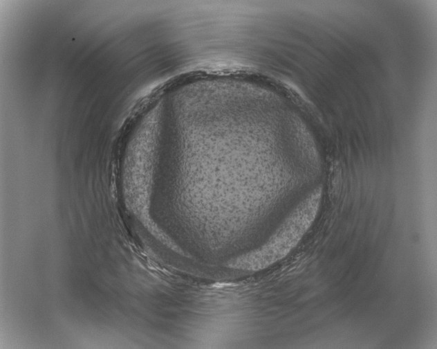 X0000066121016200603311530