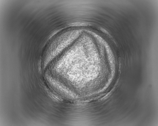 X0000066121017200603311530