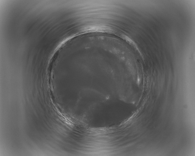 X0000066121019200603311530