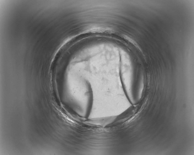 X0000066121021200603311530