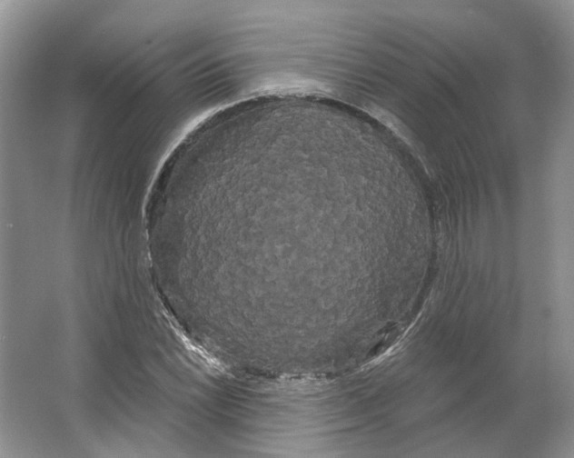 X0000066121022200603311530