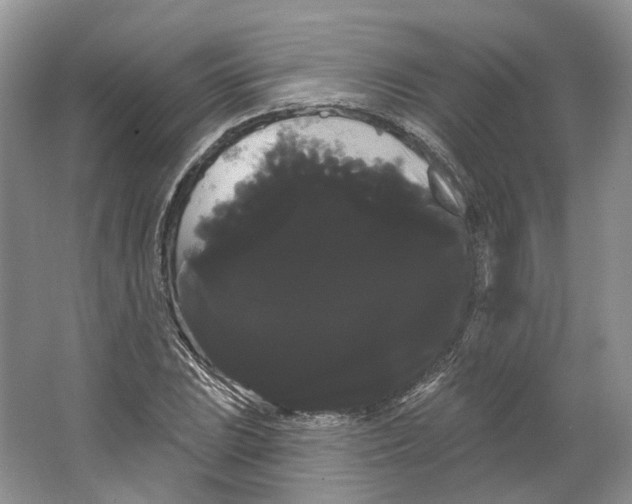 X0000066121023200603311530