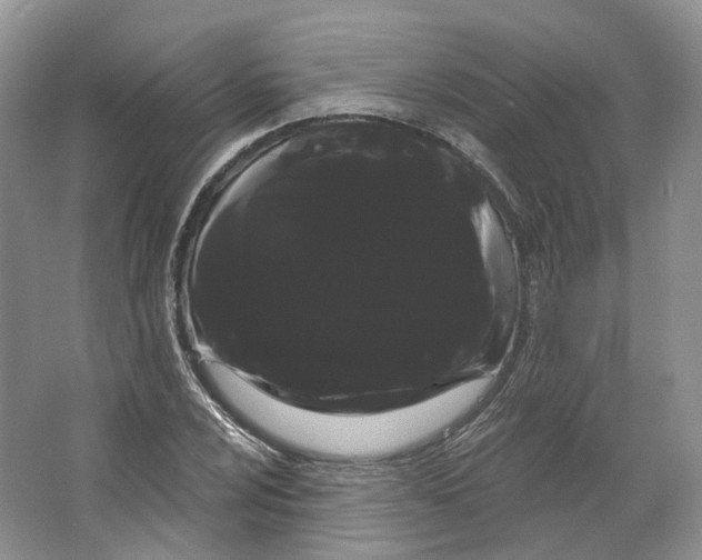 X0000066121024200603311530