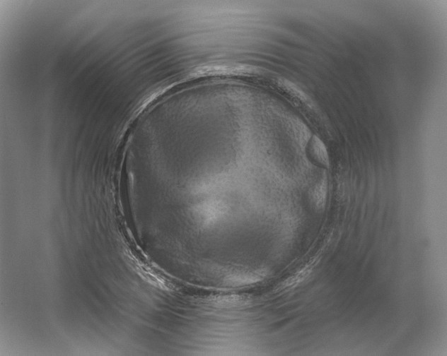 X0000066121025200603311530