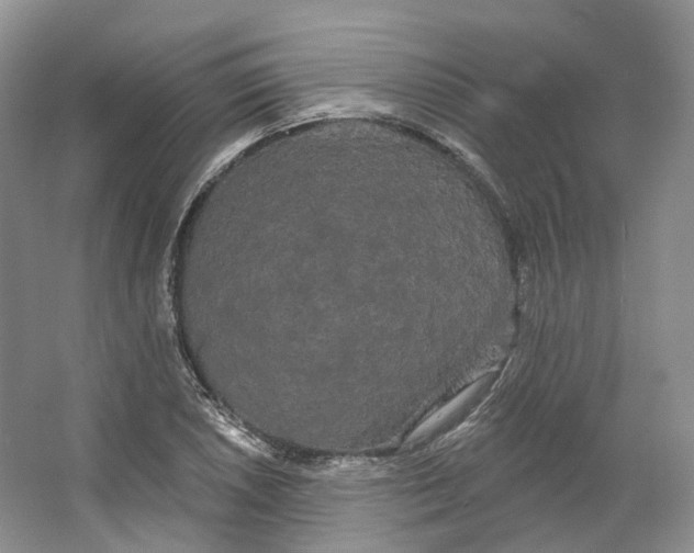 X0000066121026200603311530