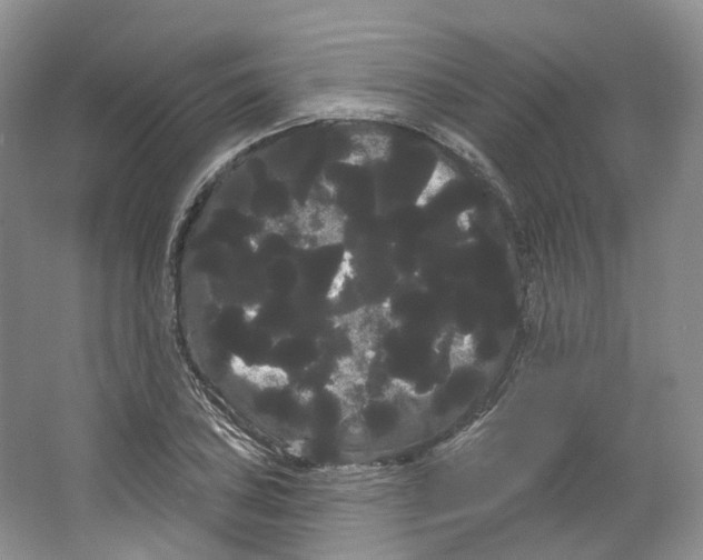 X0000066121027200603311530