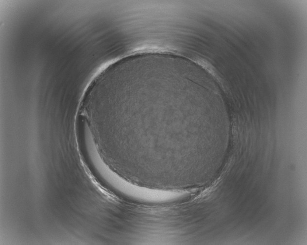 X0000066121030200603311530